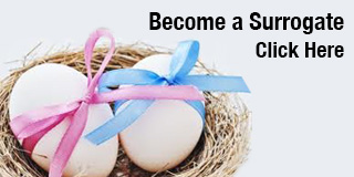 Become a Surrogate Mother or Gestational Carrier