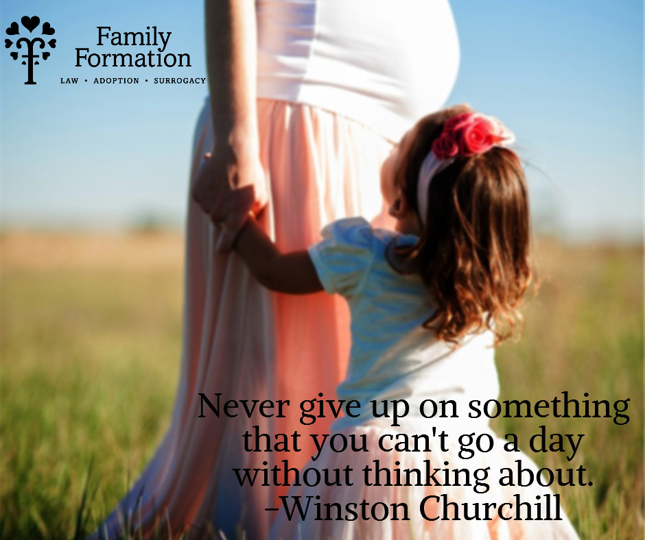 surrogacy for infertility image